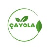 ÇAYOLA