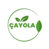 ÇAYOLA