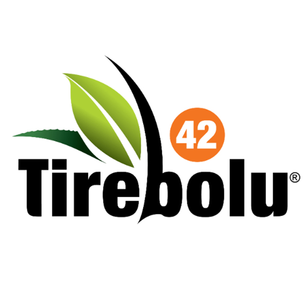 TİREBOLU42