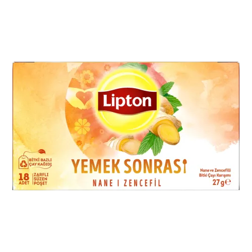 Lipton Yemek Sonrası Nane & Zencefil 18'li